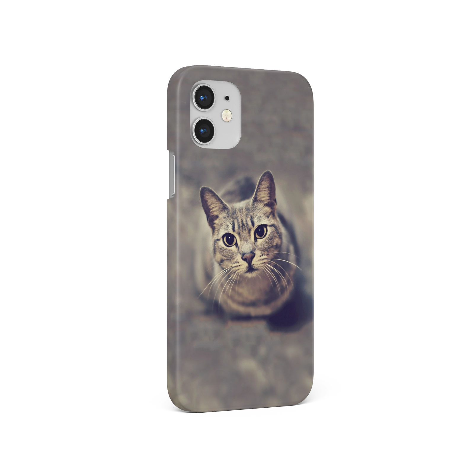 CASE FOR IPHONE 16 16E 15 14 12 12 SE 8 PRO MAX HARD PHONE COVER CUTE CAT KITTEN - 第 5/8 張圖片