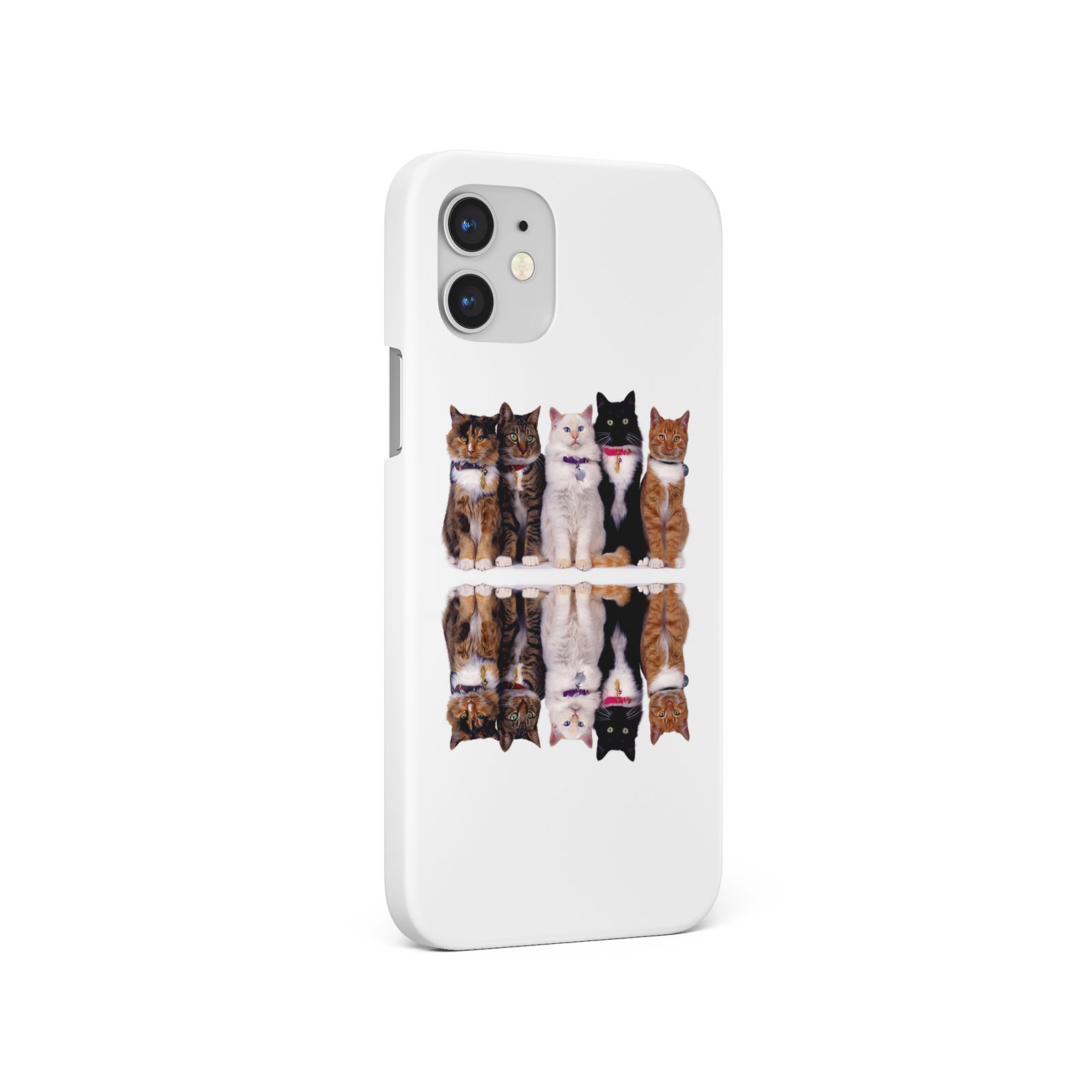 CASE FOR IPHONE 16 16E 15 14 12 12 SE 8 PRO MAX HARD PHONE COVER CUTE CAT KITTEN - 第 6/8 張圖片